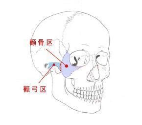 犀牛骨面相|面相：9种极品富贵命的面骨(图)